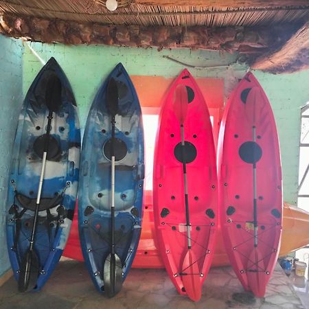 Go Inn Backpackers Ασουάν Εξωτερικό φωτογραφία