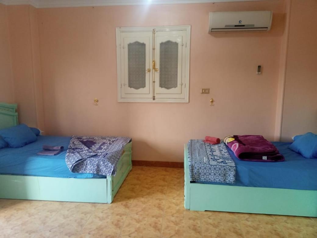 Go Inn Backpackers Ασουάν Εξωτερικό φωτογραφία