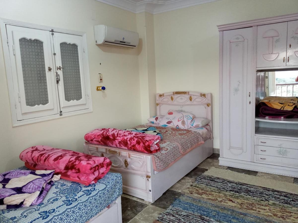 Go Inn Backpackers Ασουάν Εξωτερικό φωτογραφία
